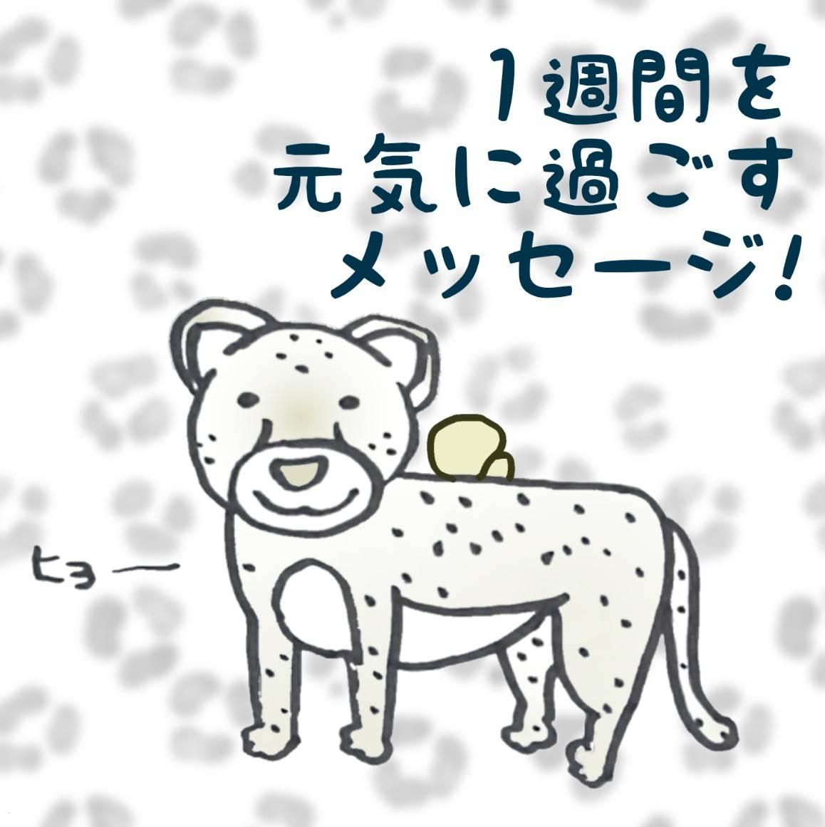 1�T�Ԃ����C�ɉ߂������b�Z�[�W�I