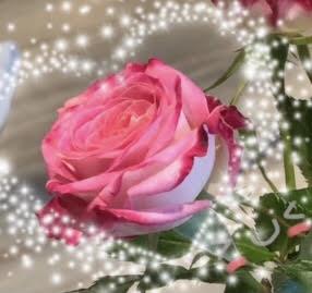 �������f�ŉ����킩��H