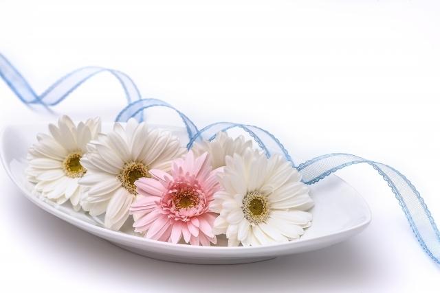 �������܂������Ȃ������̂m�f�s��