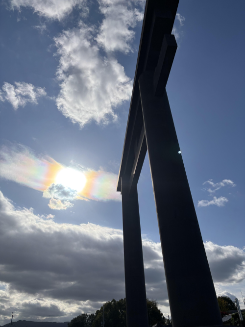 12��10���̃����I���N��