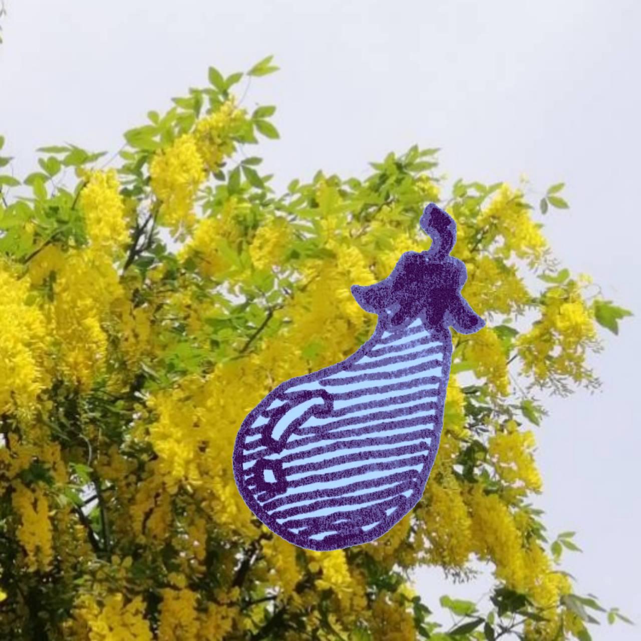 �H�ׂ������̂�H�ׂĊJ�^��