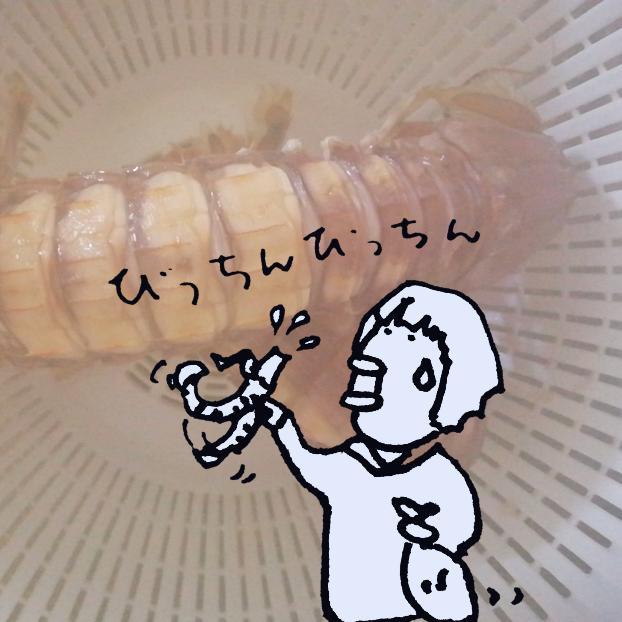 �߂����ᓮ�����V���RVS��