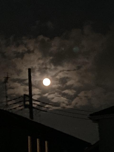 �y���������z�����̌��̏��鍠