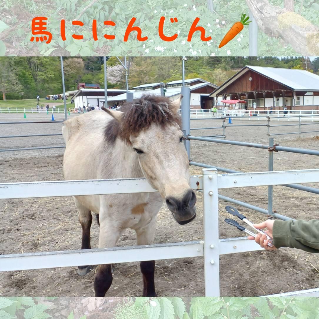 �n�ɐl�Q�������Ă��܂����I