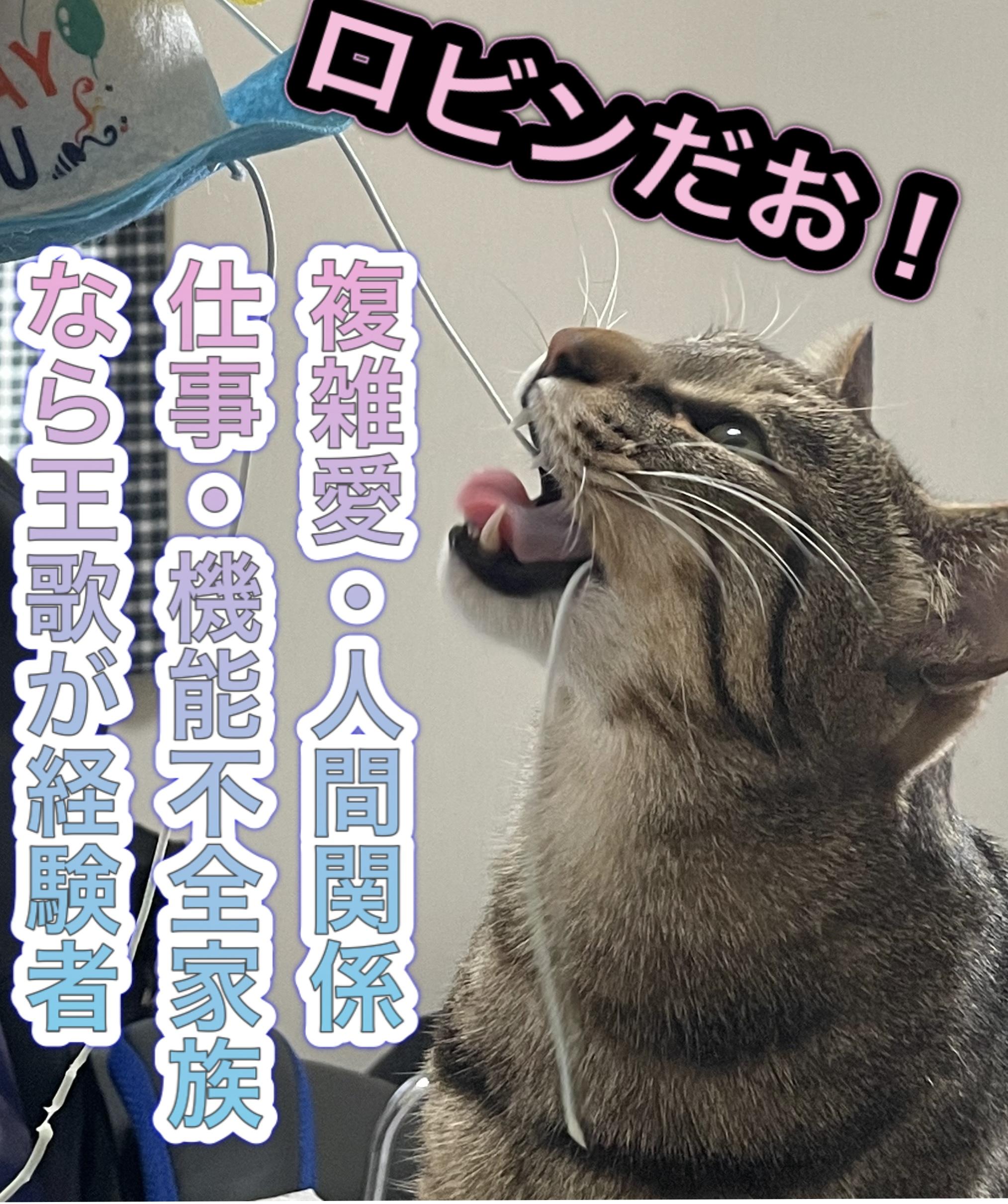 �u���O�ł͂��v���Ԃ�ł��B���̂ł��I