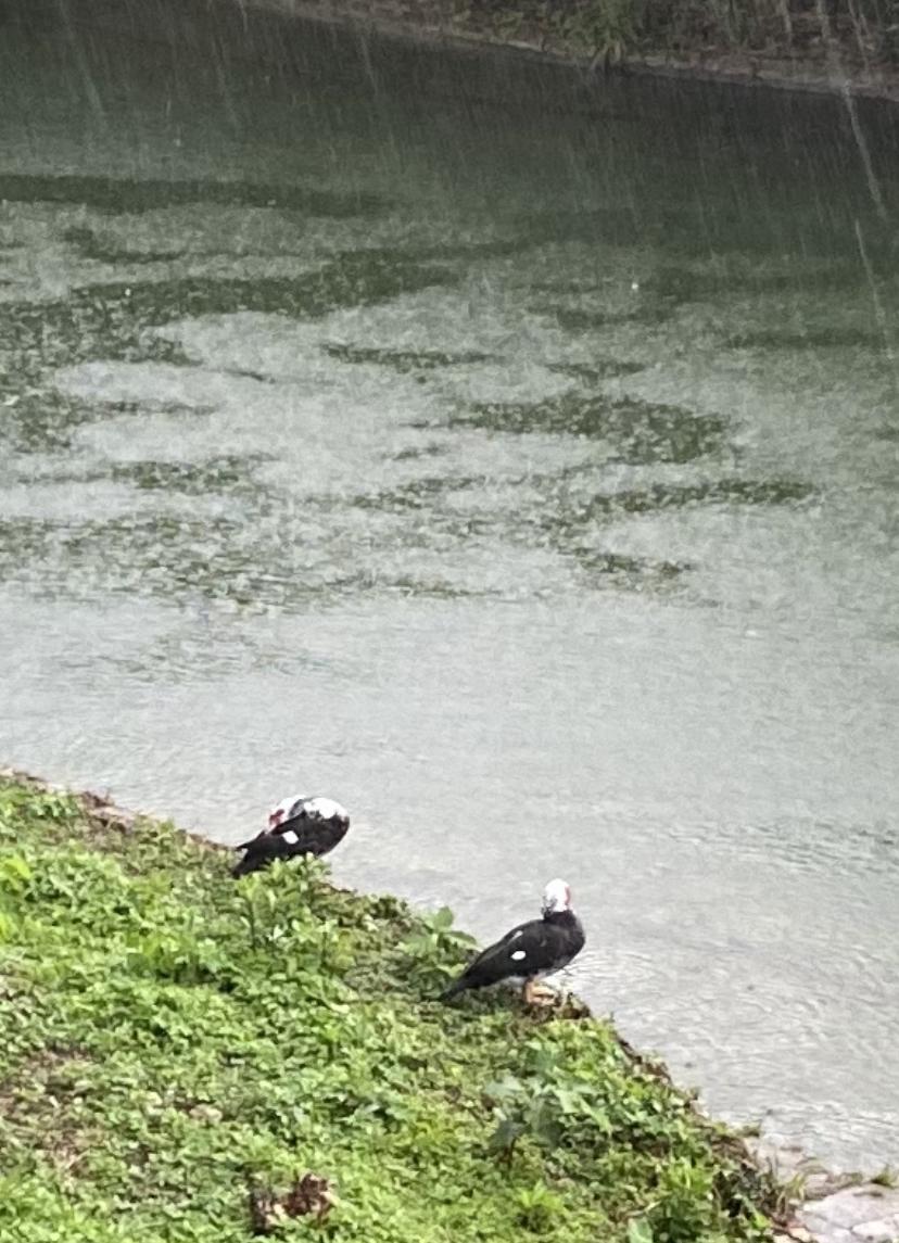 �����F�΂���ɂȂ�Ȃ��悤�ɂ��܂��傤�I