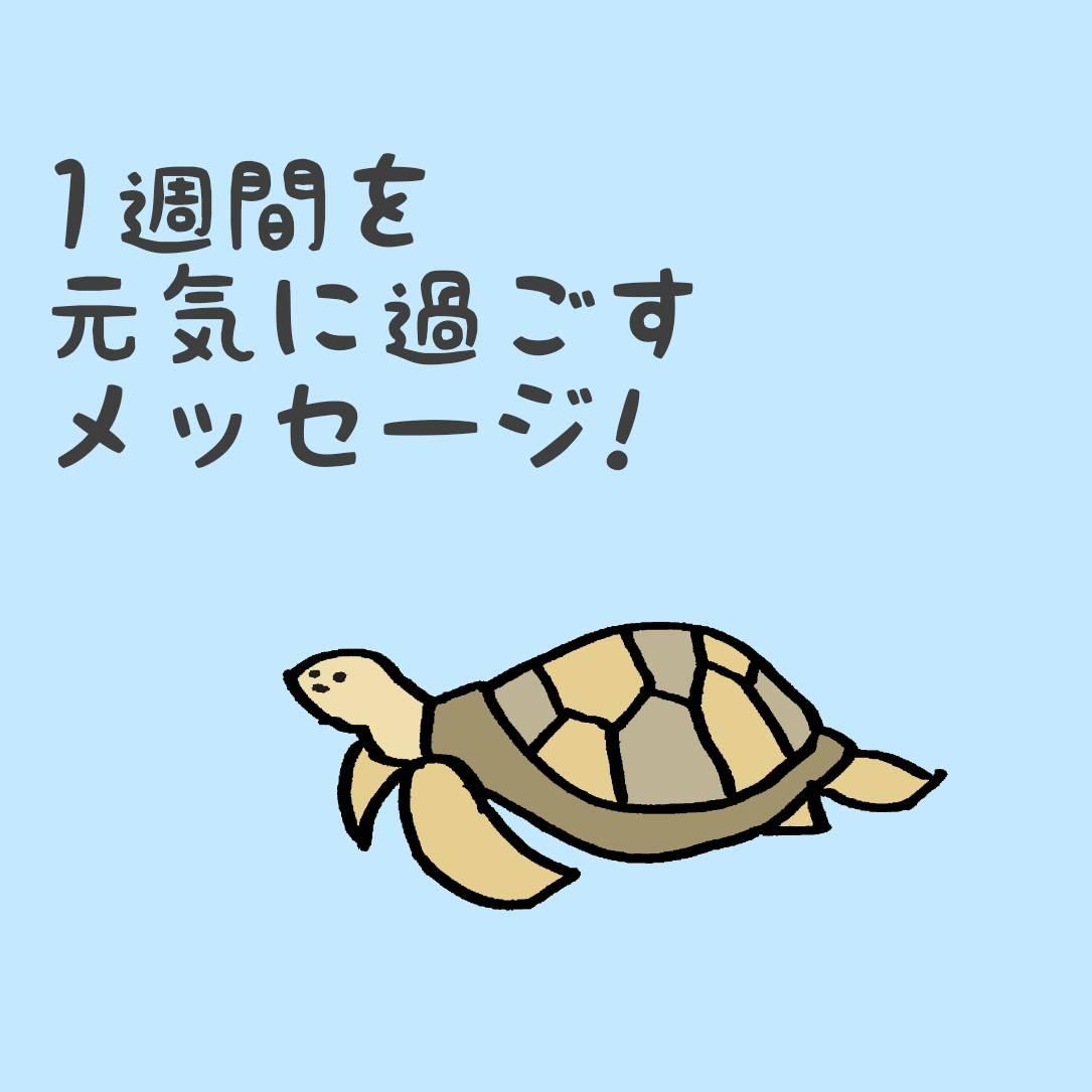 1�T�Ԃ����C�ɉ߂������b�Z�[�W�I