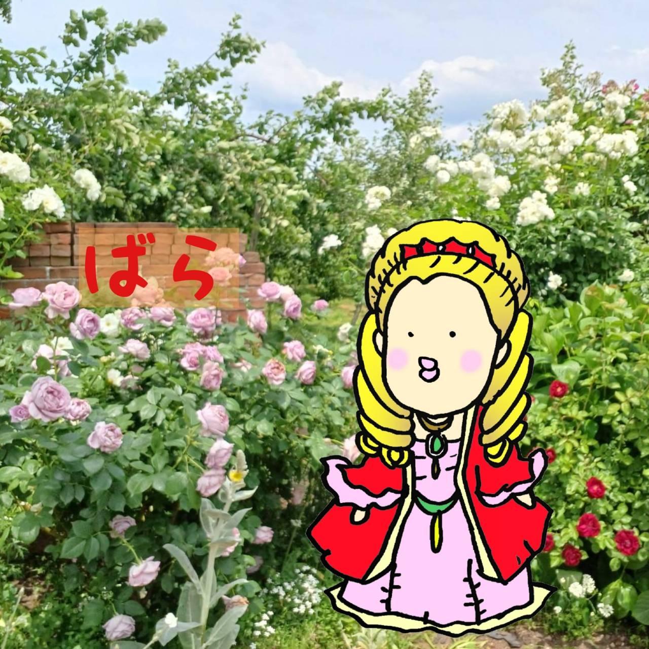 �S�[�W���X�ȋC���ɂȂ��Ă��܂����I
