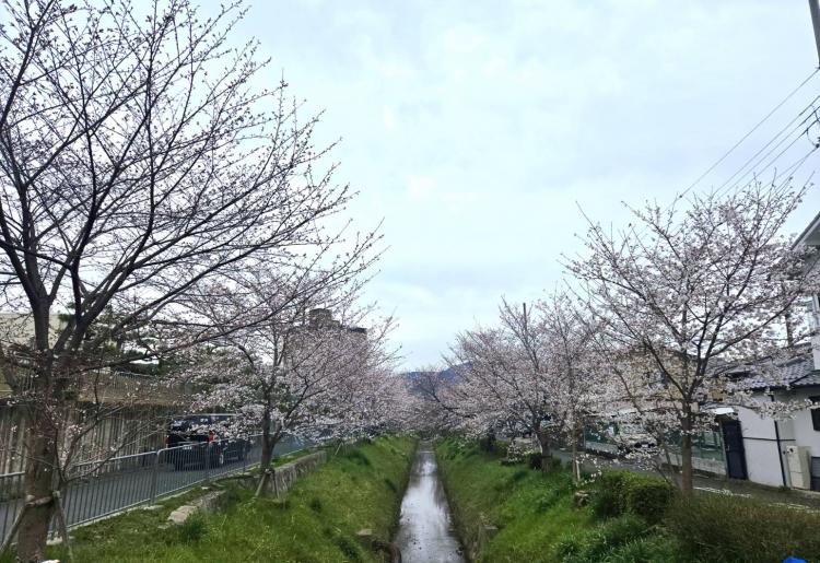 �S��11���@�^��