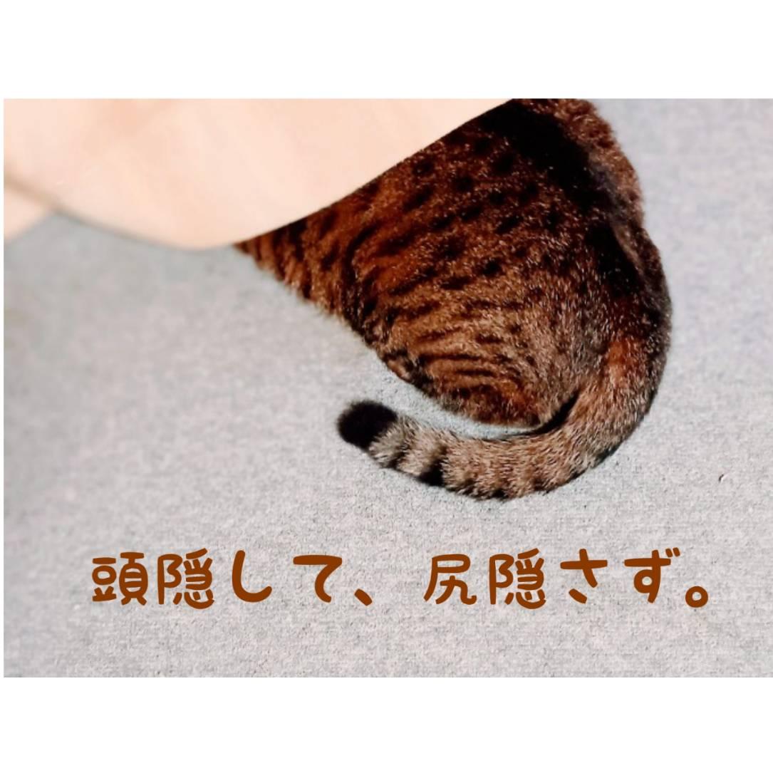 ���B���āA�K�B��ĂɂႢ (���փ�)