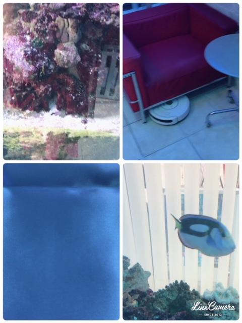 �_�l����̃��b�Z�[�W