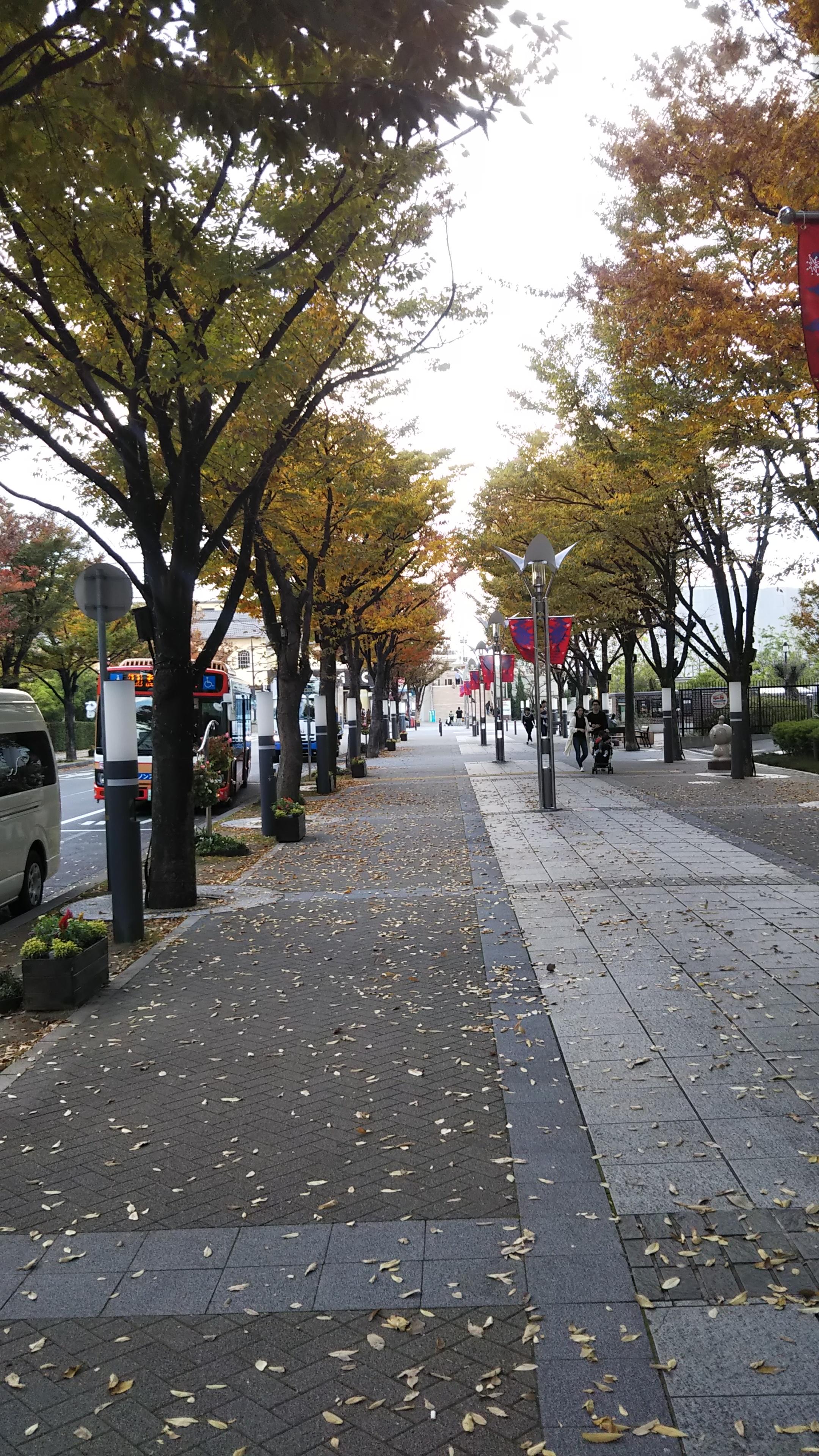 �X�H���̗����t������