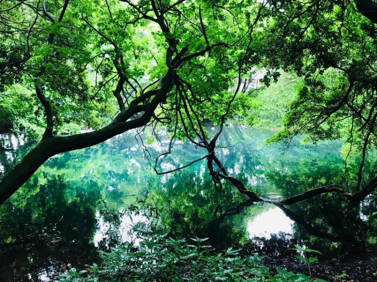 �K�����ĂȂ��ɁH