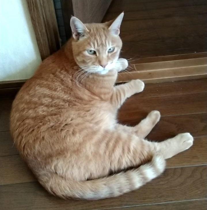 ������ɂ��̐��������Ă�����