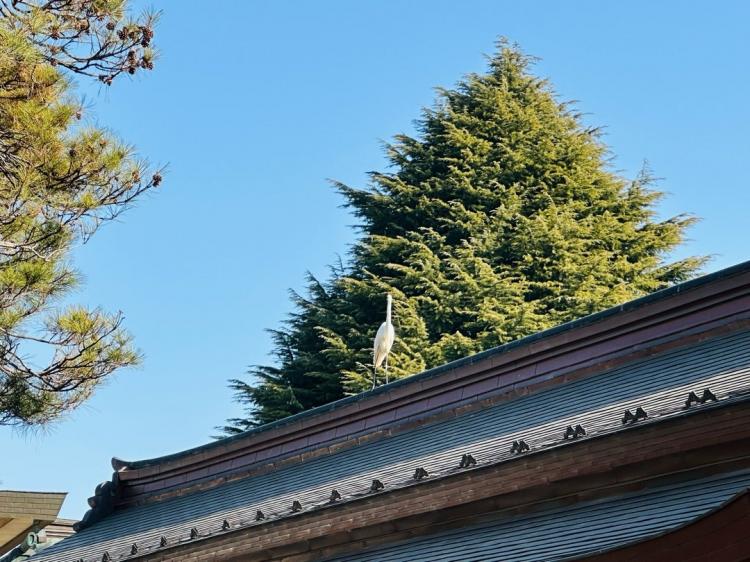 [�g��]�_�Ђ̔q�a�ɔ���