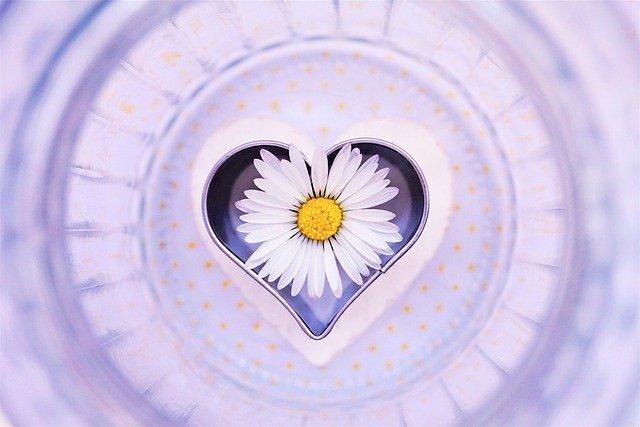 [�錍]��؂Ȑl�ɑz�����������Ȃ����@