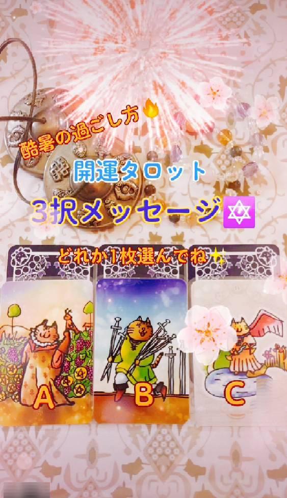 �y�J�^�^���b�g�z3�����b�Z�[�W �[��