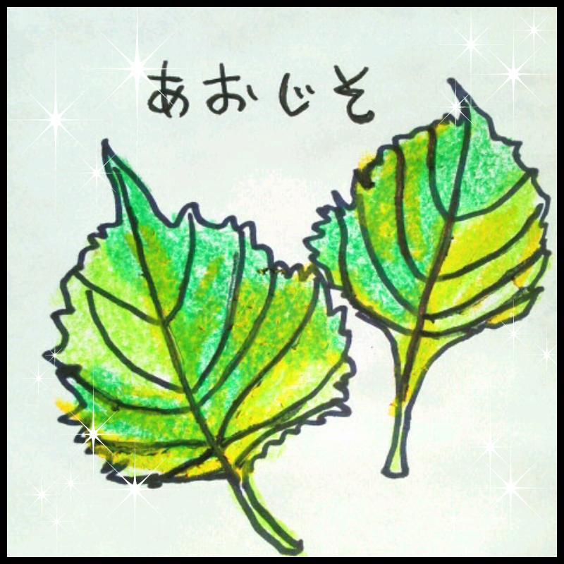 �p�N�`�[�E�V�����c�@�C�E�R���A���_�[