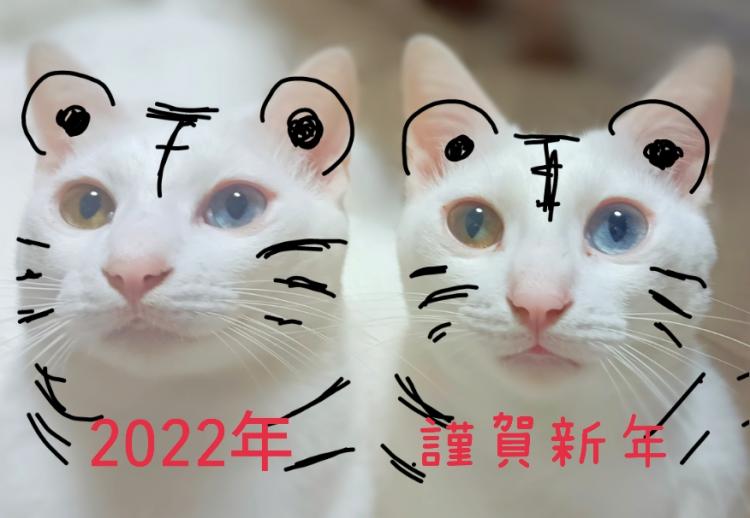 �މ�V�N
