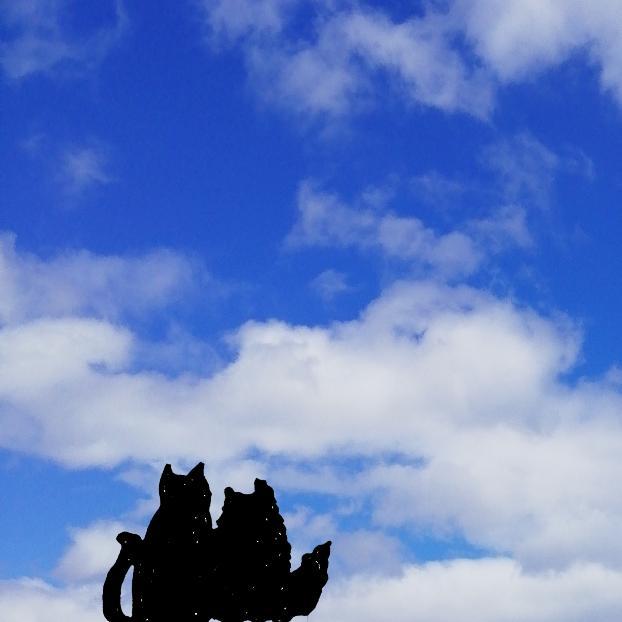 ���ꂼ�܌�����