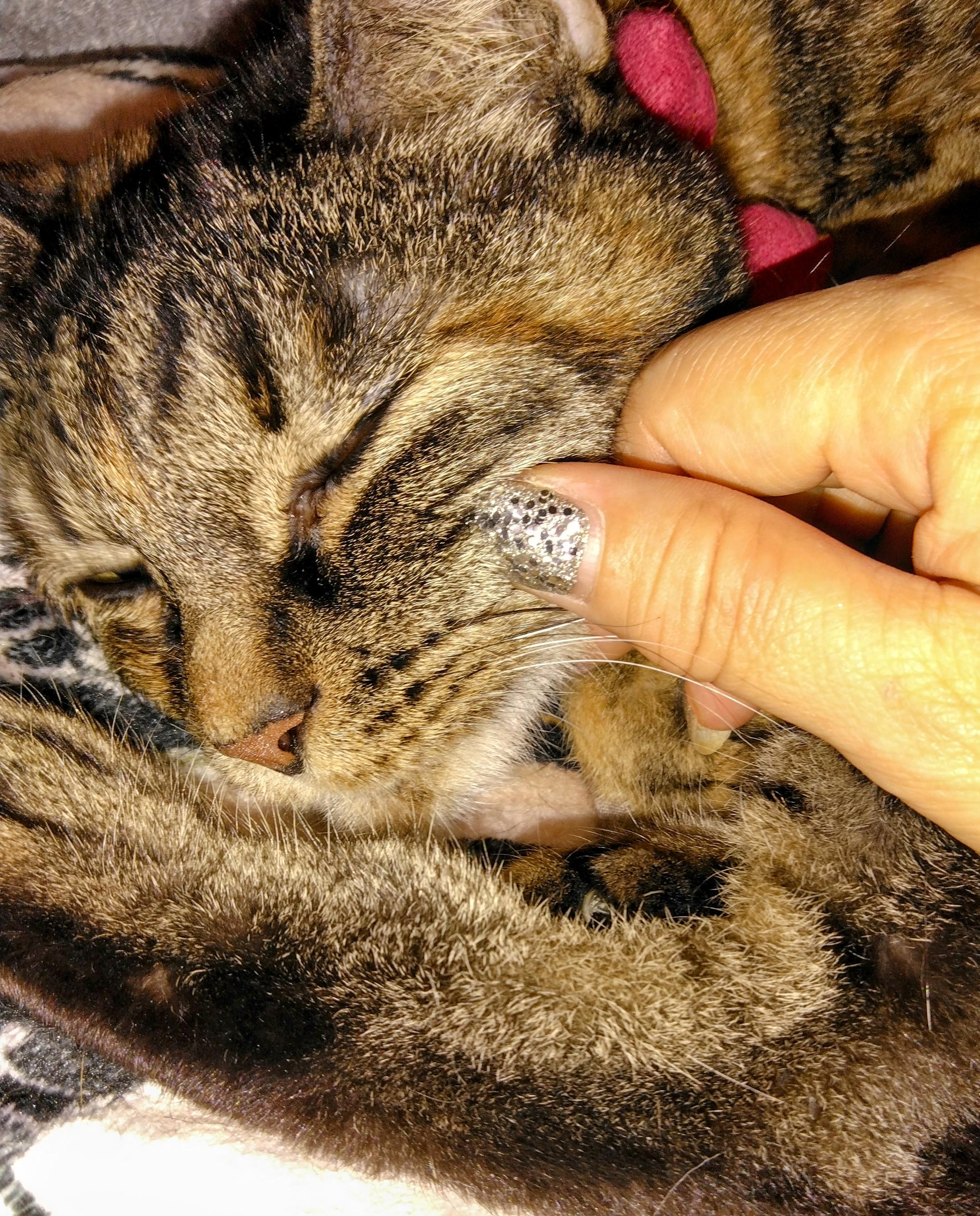 �N��z�����Ă��Ƃ́H