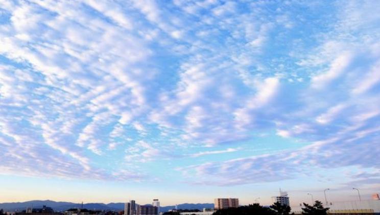 �S�����₩�ł����