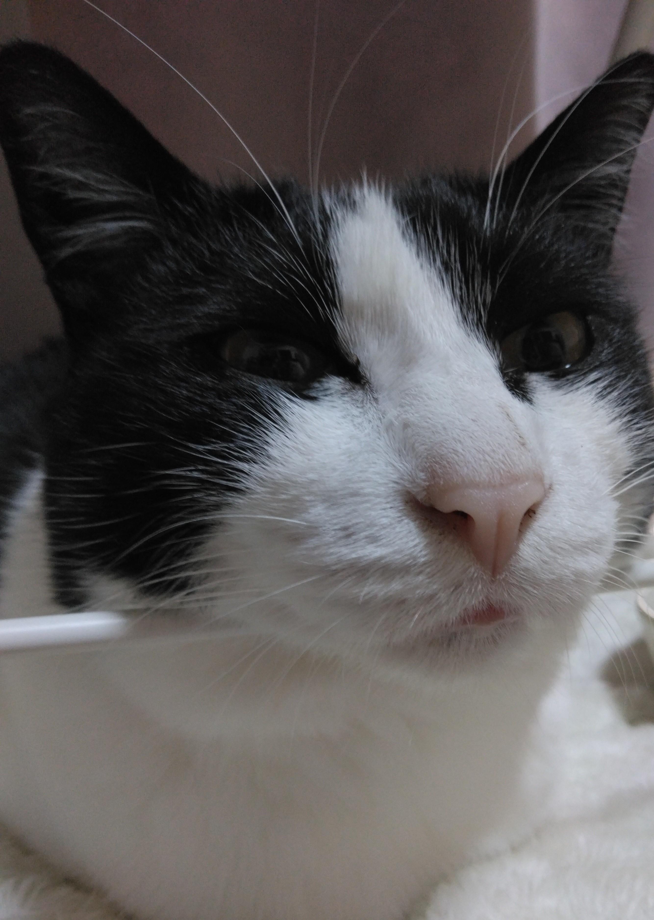 ���̐��̃L���L��