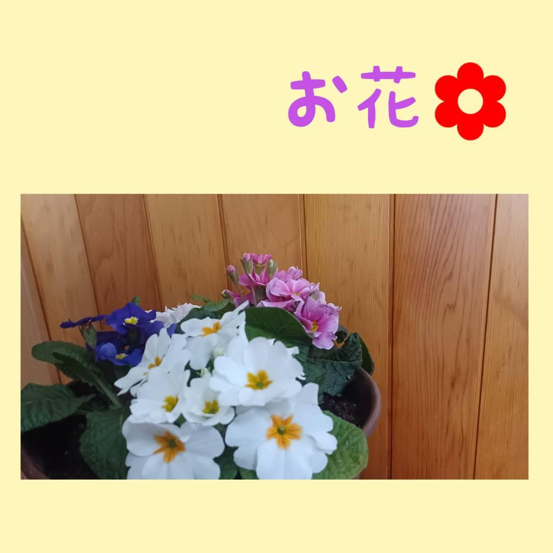 在庫限り！お花との運命の出会い。