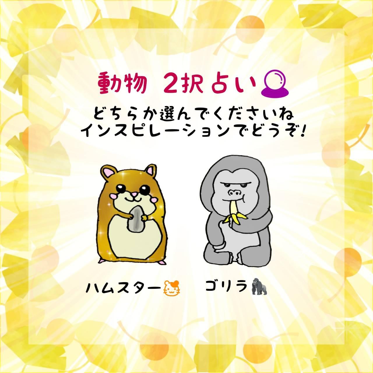 11���O��2��肢�I�A�h�o�C�X���ǂ�����