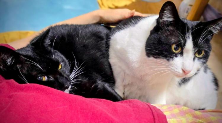 ������̔g���Ƀ^�b�`