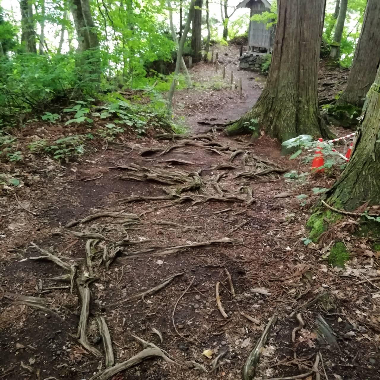 ��}�̎��̎����\�a�c�΂ŕs�v�c�̌��I