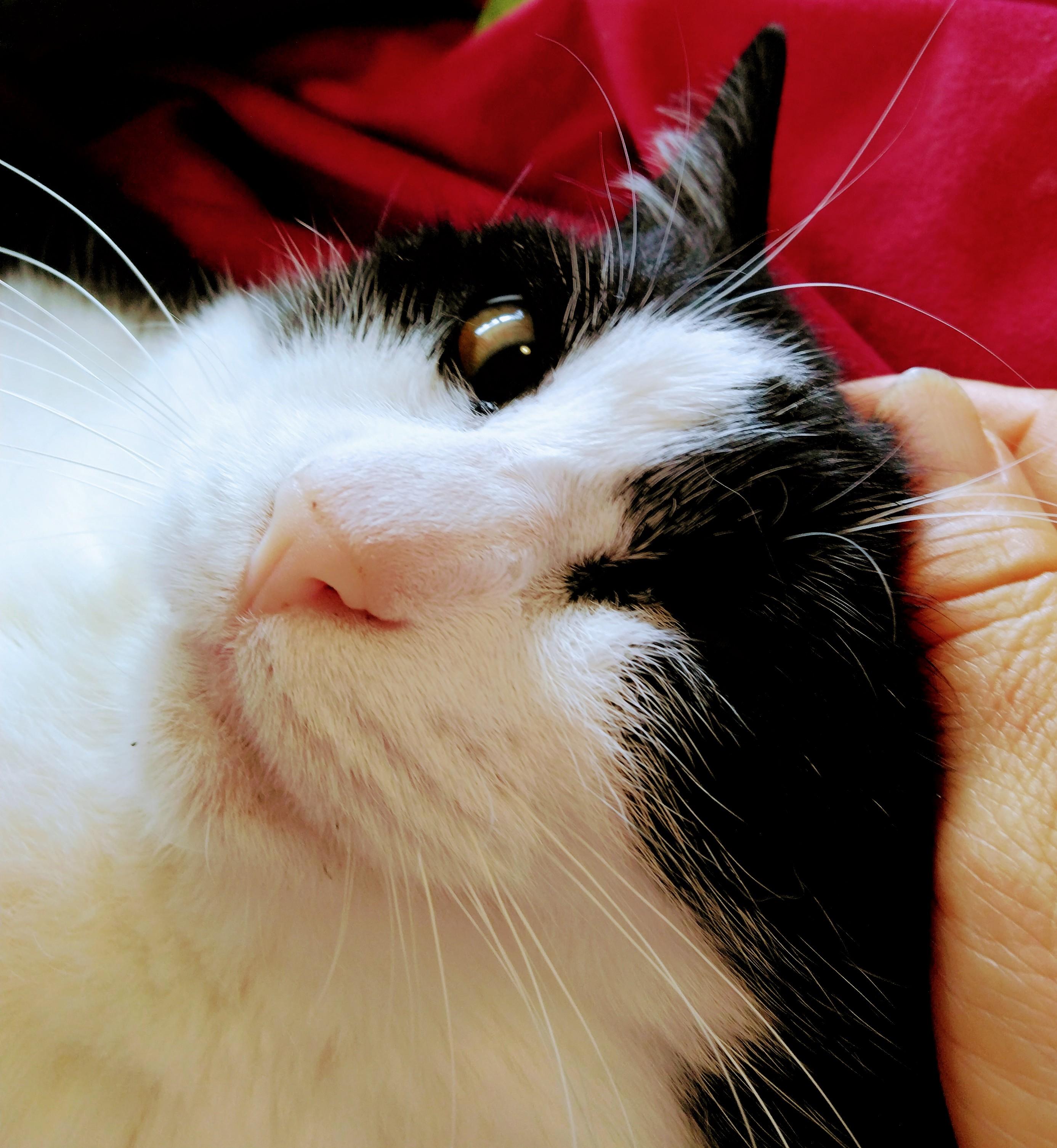 ���̎���͖�������