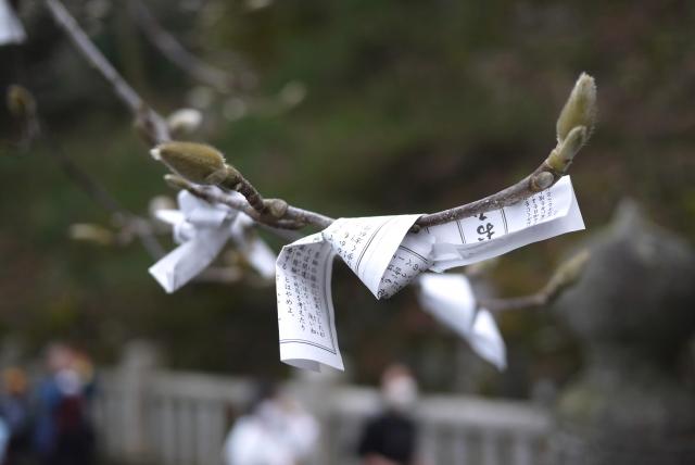  [�A��]�s�v�c�ȂЂ낢����