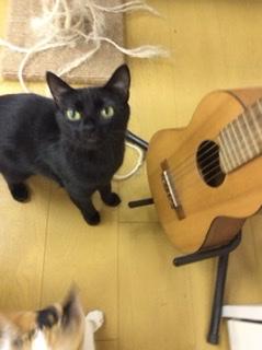 ����������IR4.2.5.����