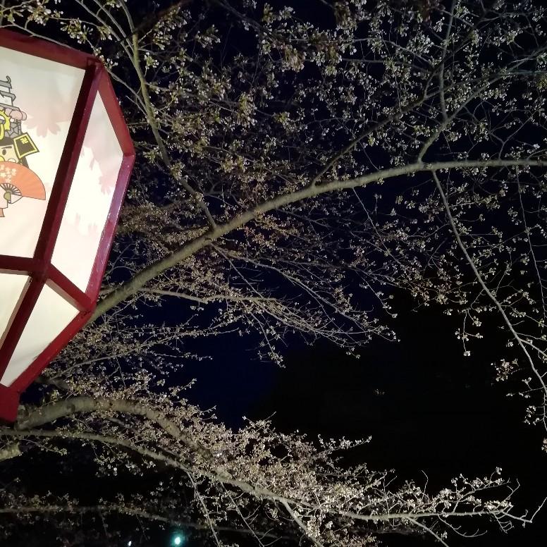 ���{��̍��Ղ�Ŗ�����B