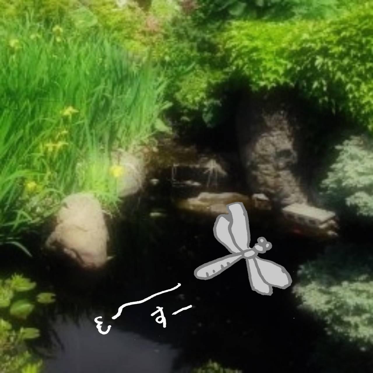 �g���{����̃X�s���`���A�����b�Z�[�W��