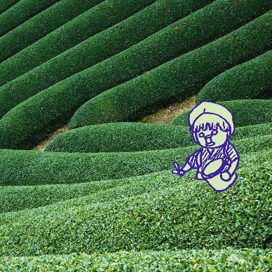 ��̓��ɕ�����d�b