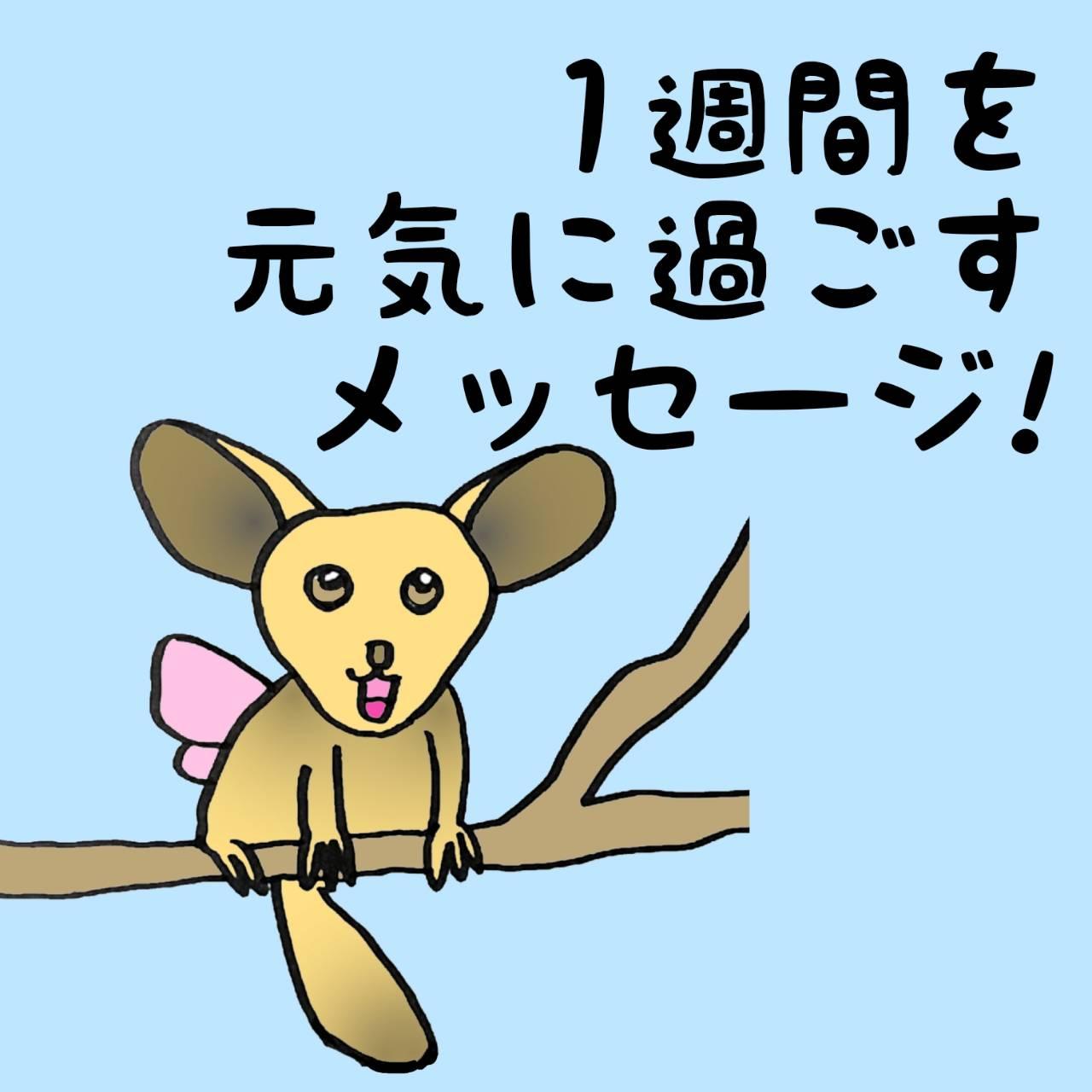 1�T�Ԃ����C�ɉ߂������b�Z�[�W�I