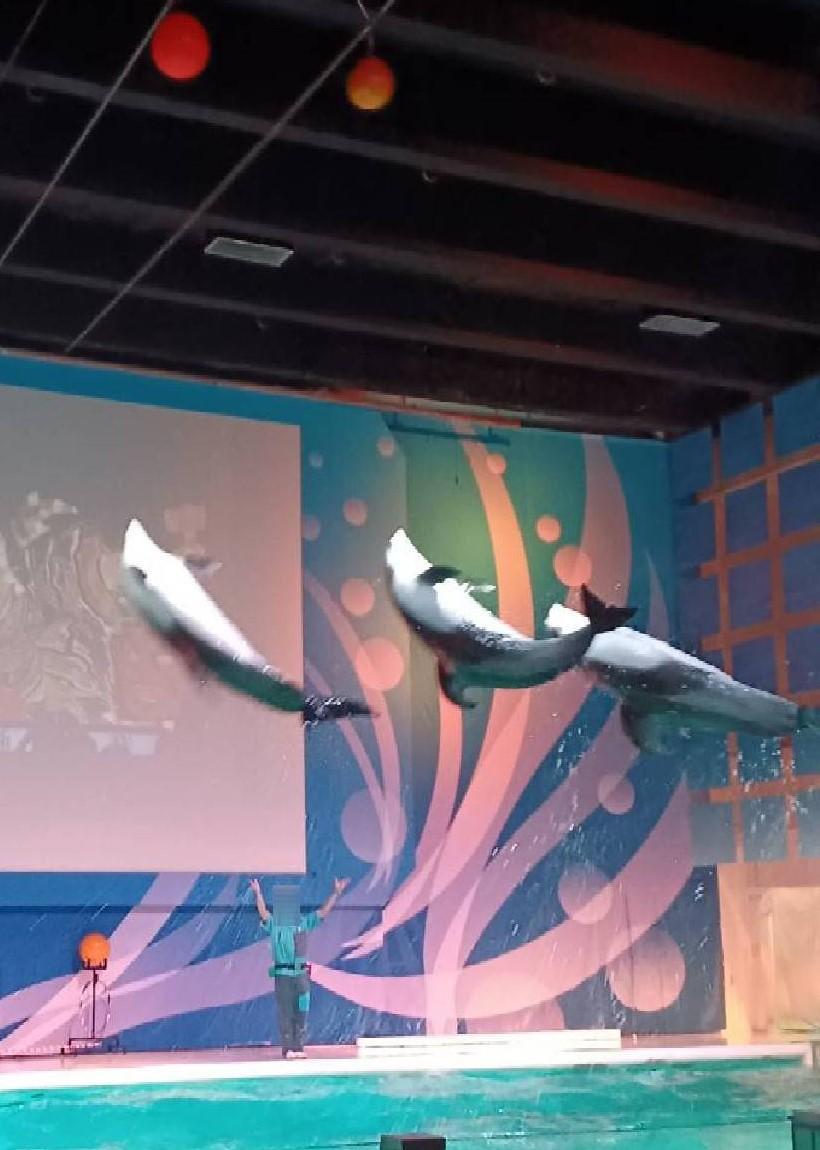 �C���J�̃X�s���`���A�����[�h�́u�����v