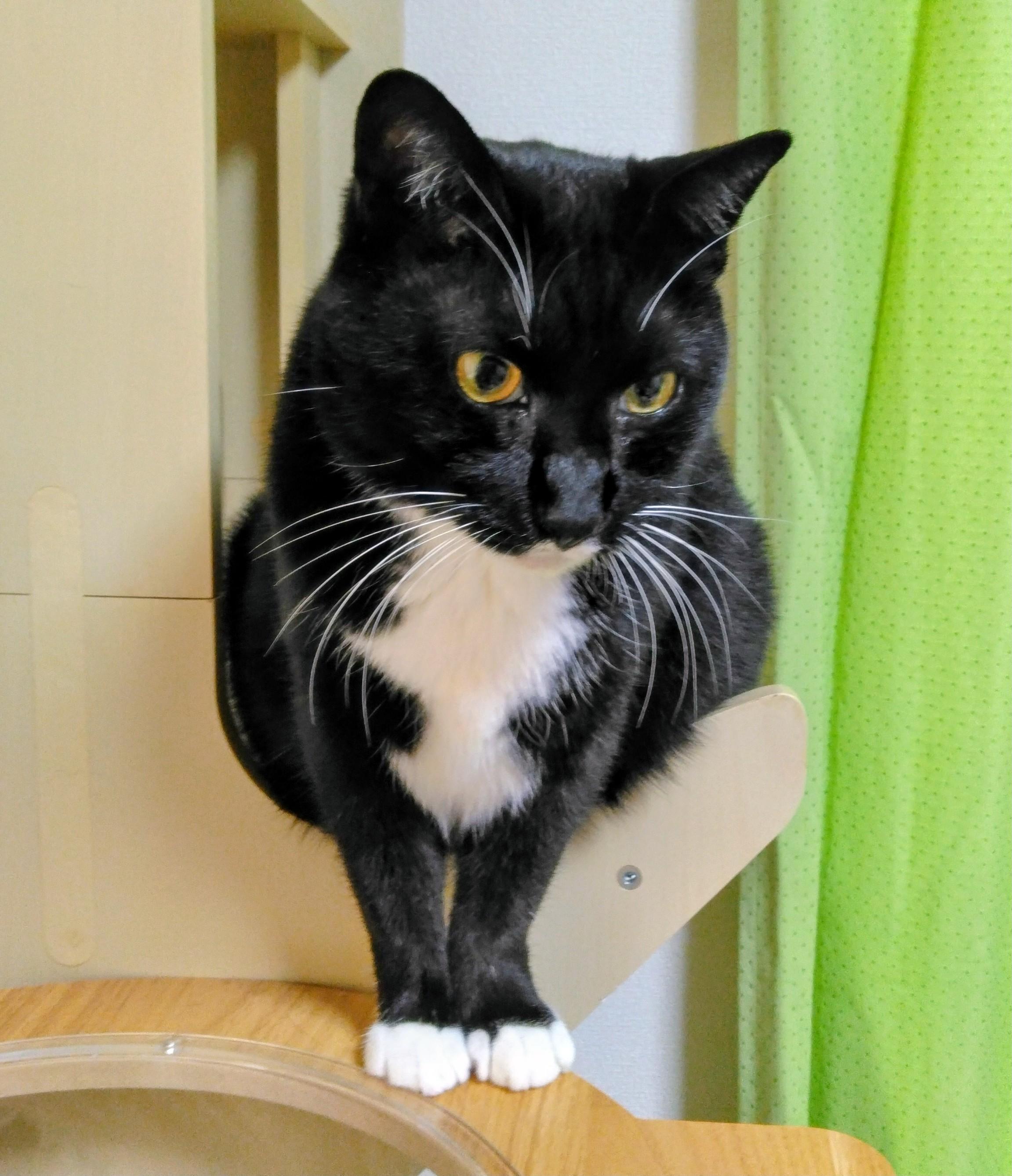 ���Ȃ��ɓ`���Ȃ���