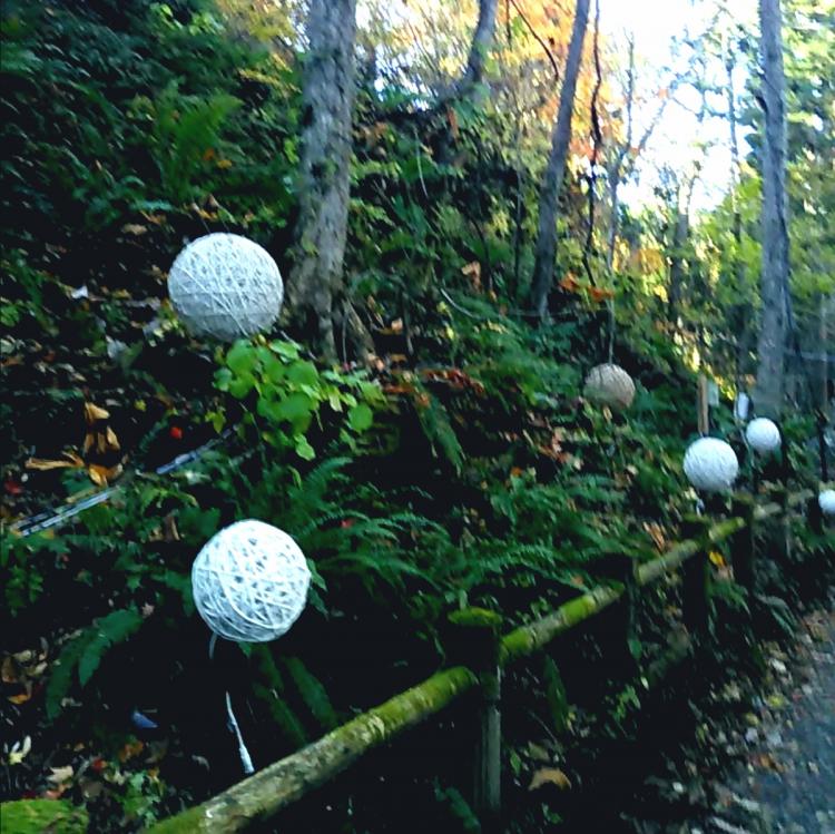 �\�a�c�Γ~����̏����@202011����3