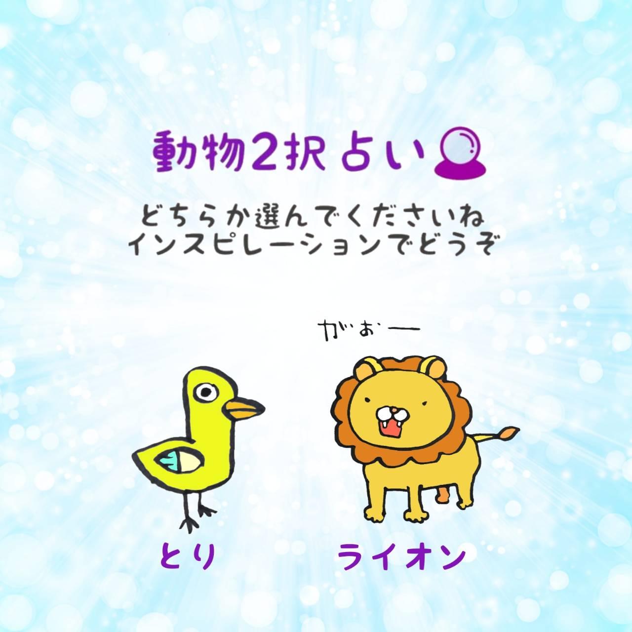 ����2��肢�I�A�h�o�C�X���ǂ�����