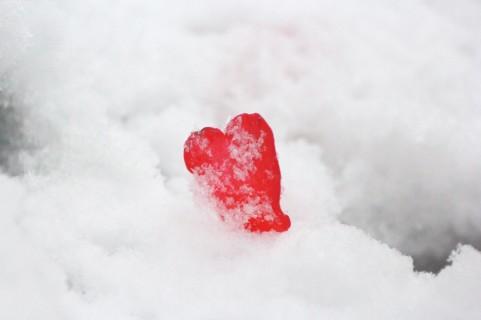 ��������ɂ�