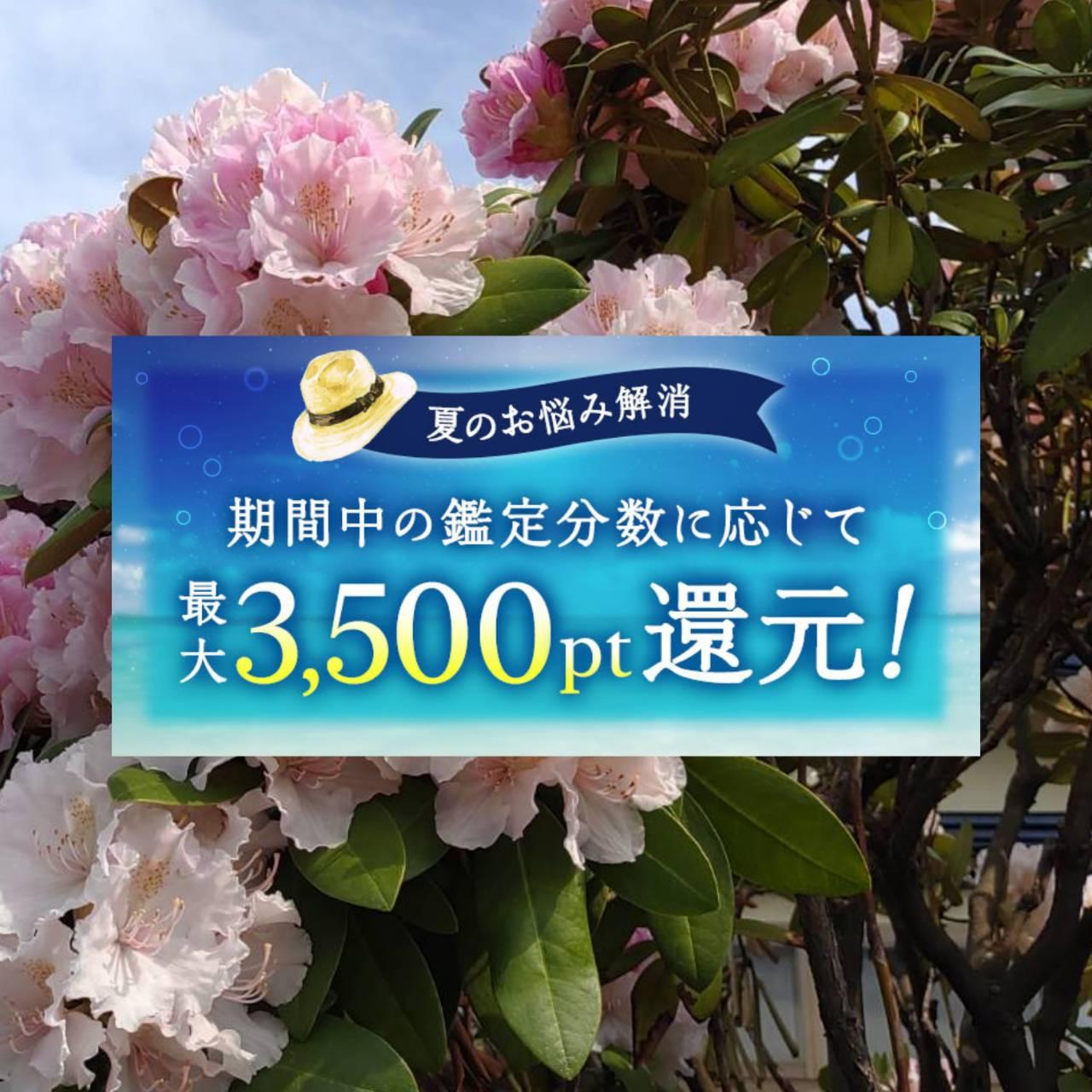 �������̍����Ƃ��܂��Ȃ�