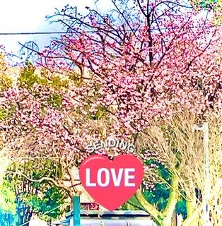 �������x�݂܂��傤R4.3.14����