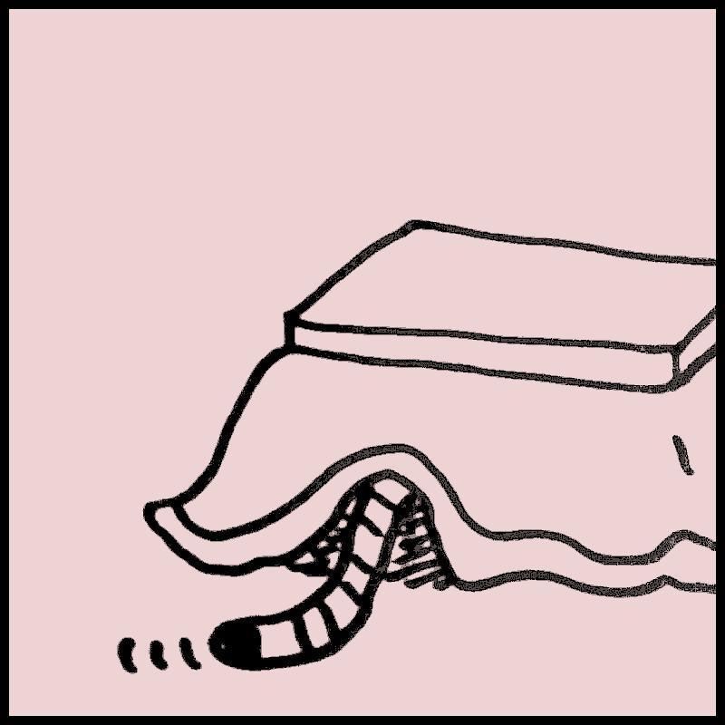 �����Ɉ��ݍ��܂��Ȃɂ�