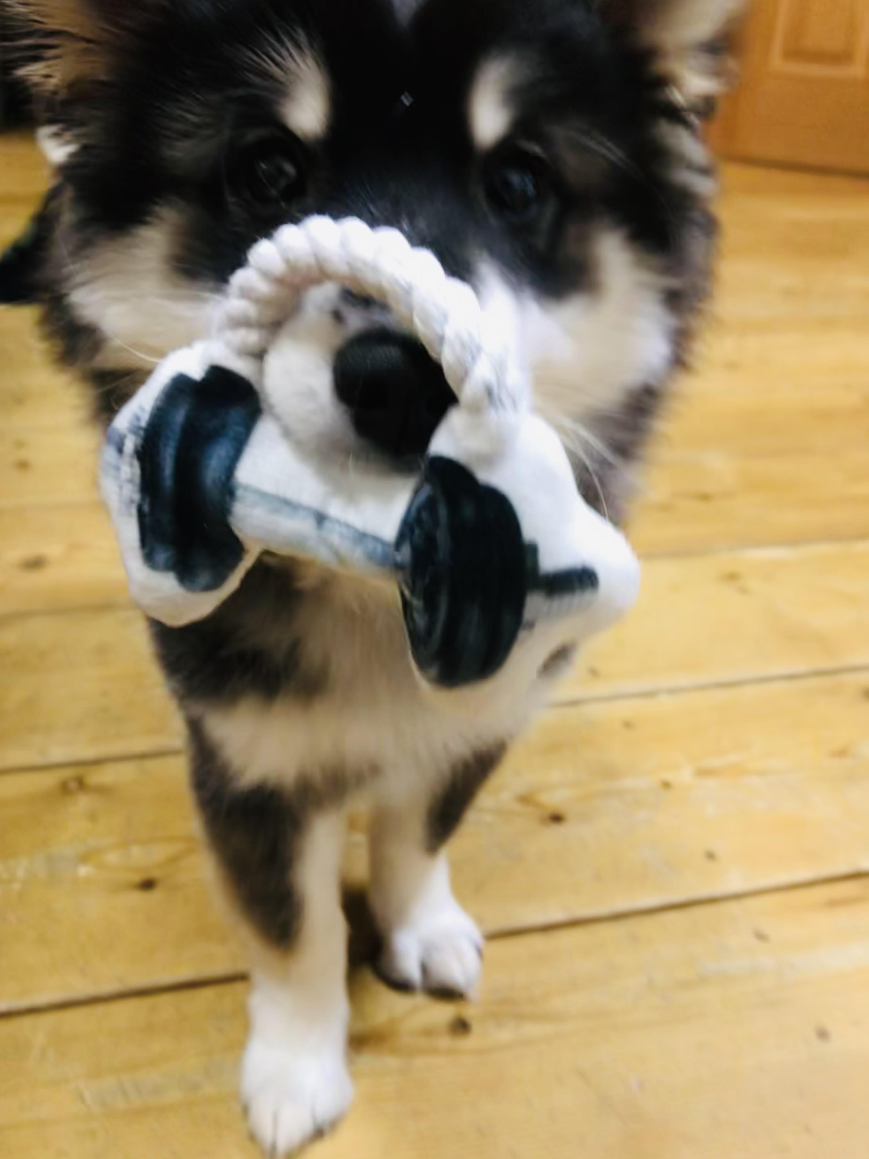 �t�̑̂Â�����n�߂悤