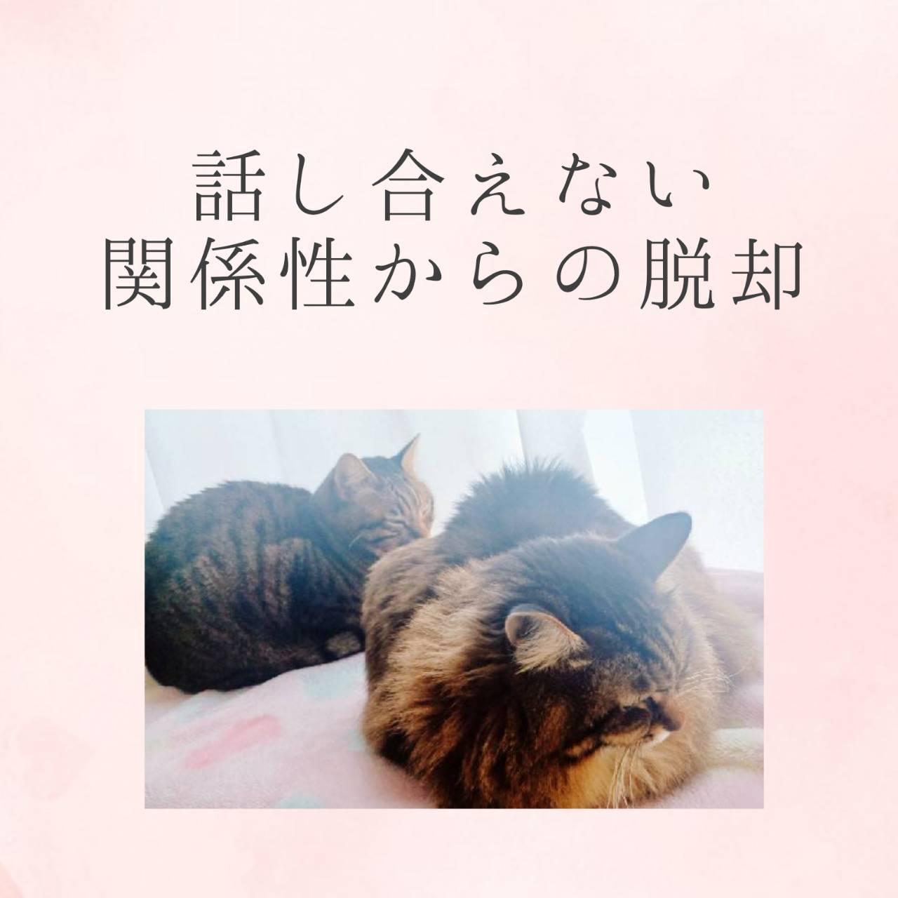 �b�������Ȃ��֌W������̒E�p