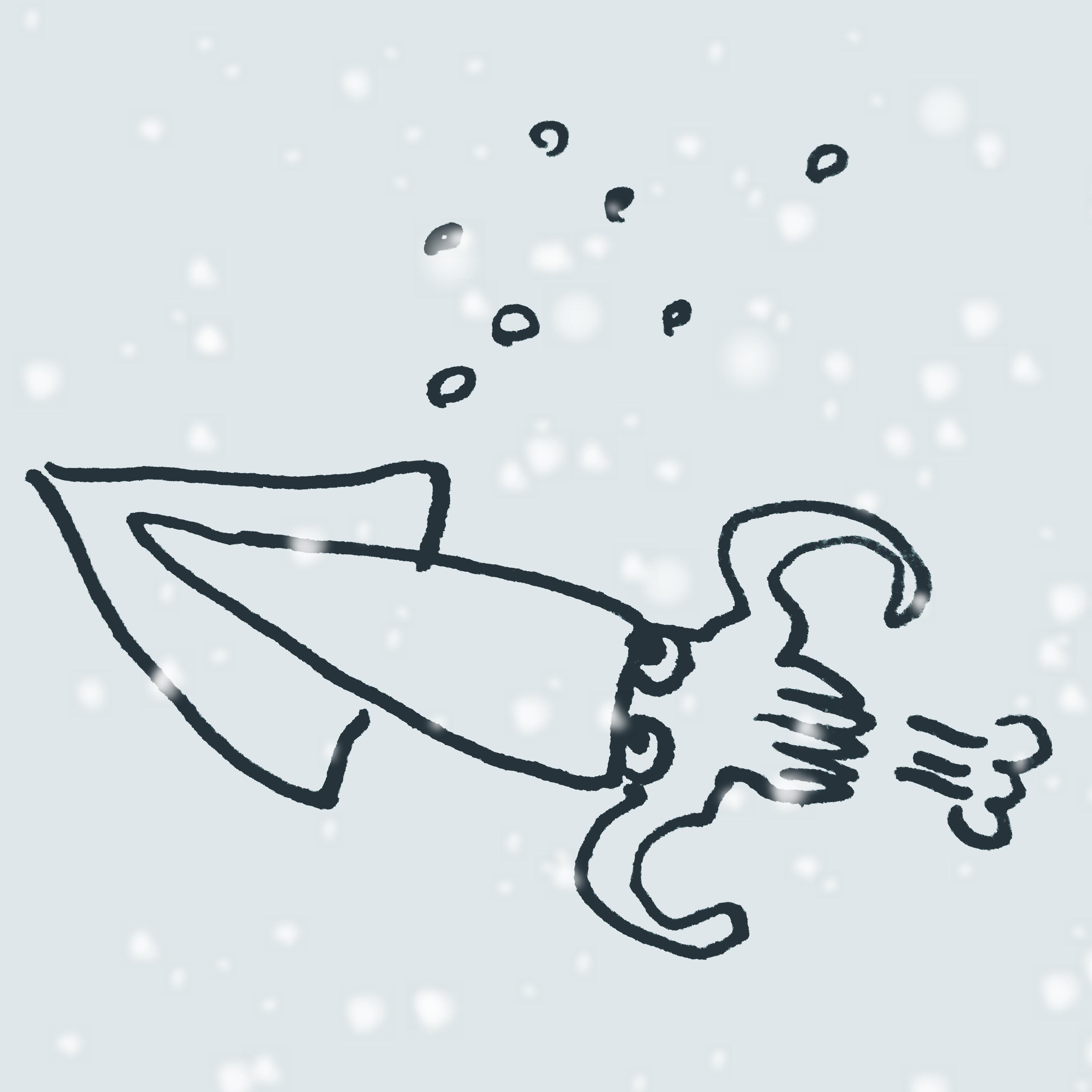 3�N�Ԃ�̃C�J�h��