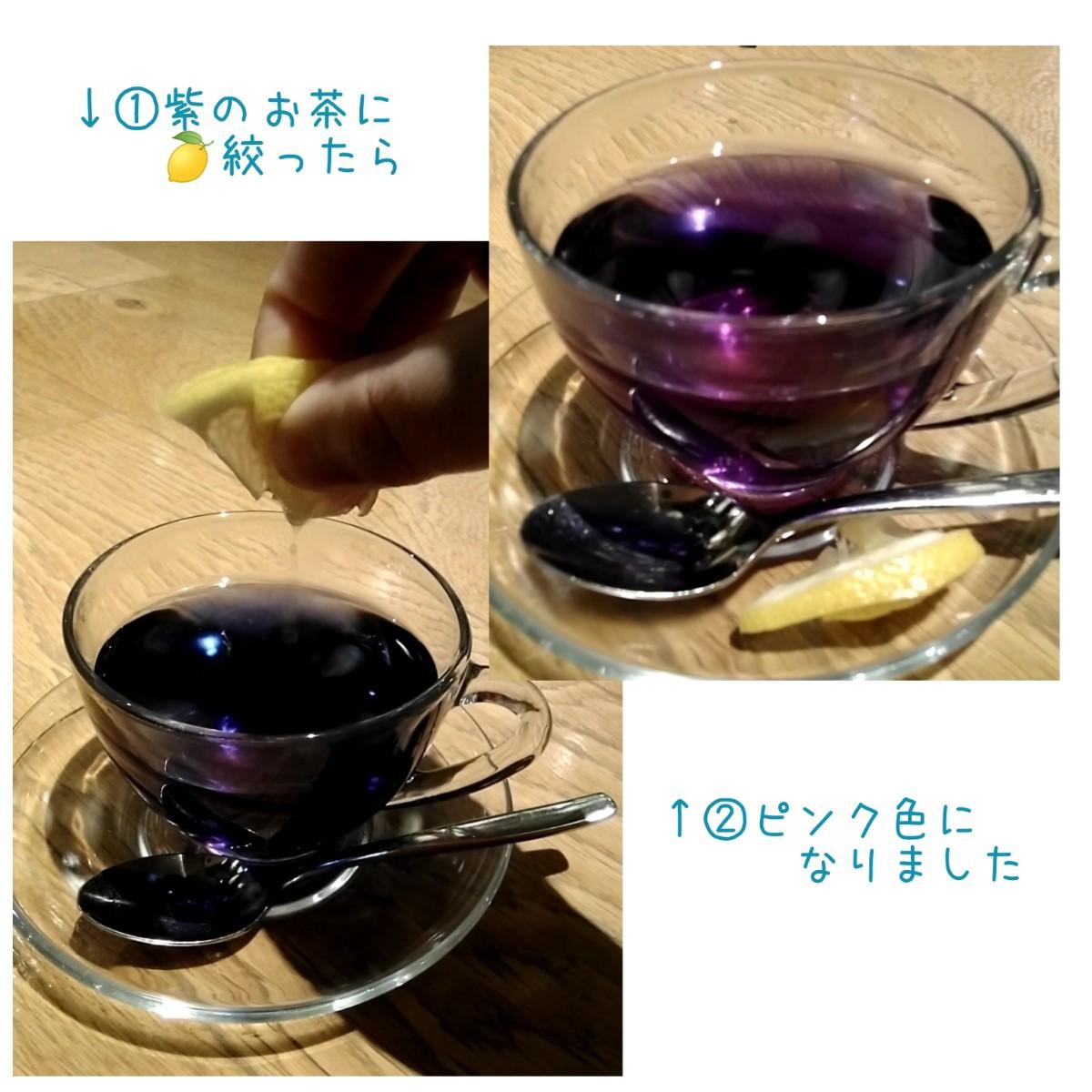 �肢�t�̗F�l�ƂT�N�Ԃ�̍ĉ�